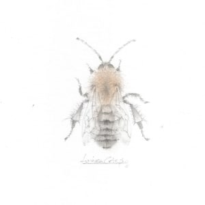 Nimble Bee NB003 by Louisa Crispin 
