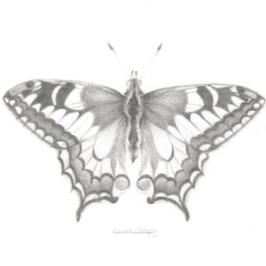 Swallowtail SWT001 by Louisa Crispin 
