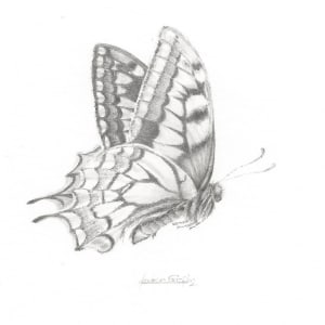 Swallowtail SWT005 by Louisa Crispin 