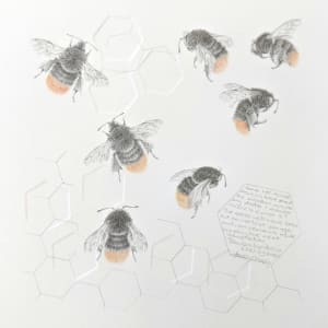 Study of a  BumbleBee 033 