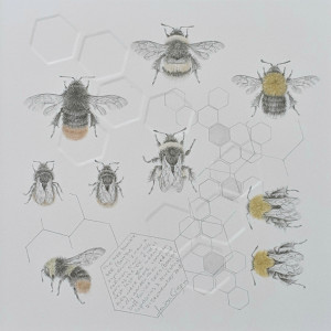 Study of a  BumbleBee 023 by Louisa Crispin 