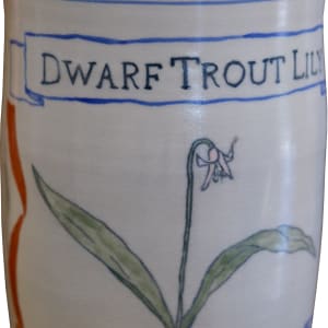 Dwarf Trout Lily by Juliane Shibata