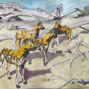 Painted Dogs