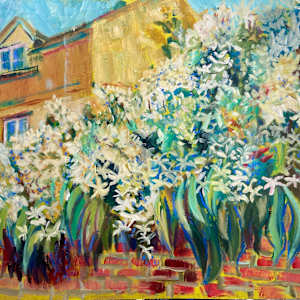 Waterfall of White Petals on a Morning Walk by Angie Porter, Image 6.