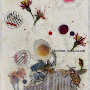 Tale Series #219 by Nina Alderete