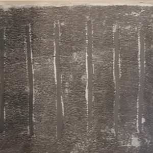 Dark Forest Experiment* by Harry Lum