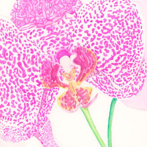 Purple Leopard Orchid for Nash by Ivonne Tejada Cruel