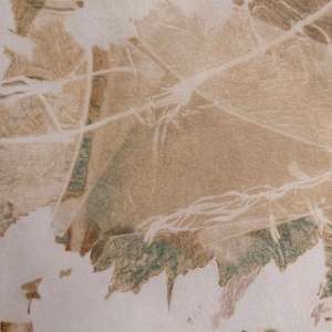 Forever Wild by Kristen Abbott, Image 2.
