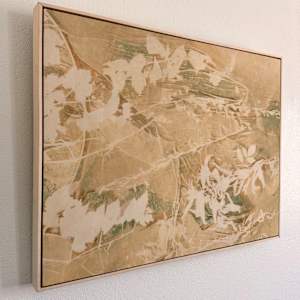 Forever Wild by Kristen Abbott, Image 1.