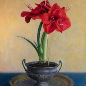 Amaryllis by Deanne Kroll