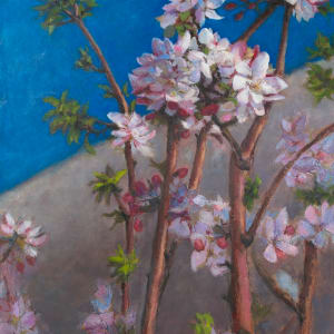 Cherry Blossoms by Deanne Kroll