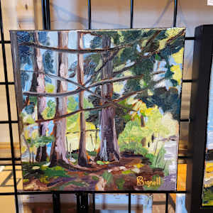 Light through the trees by Kathleen Bignell 