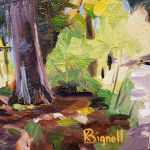 Light through the trees by Kathleen Bignell 