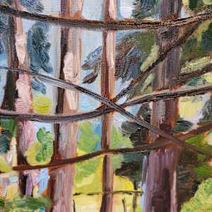 Light through the trees by Kathleen Bignell 