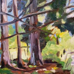 Light through the trees by Kathleen Bignell 
