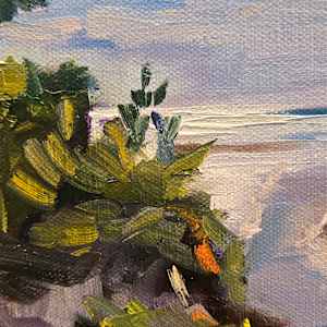 First Glimpse by Kathleen Bignell 