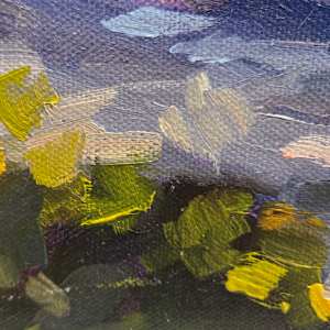 First Glimpse by Kathleen Bignell 