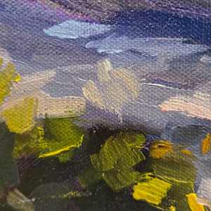 First Glimpse by Kathleen Bignell 