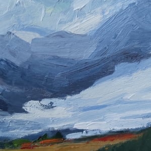 Field of dreams by Kathleen Bignell 