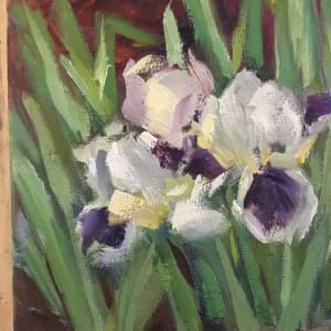 Spring Iris’ 