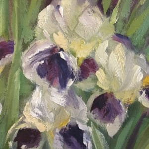 Spring Iris’ 