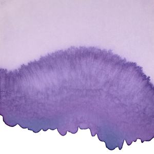 Purple Orchid by Kathleen Greco, Image 1.