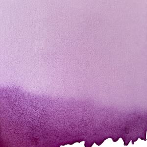 Purple Cyclamen by Kathleen Greco, Image 1.