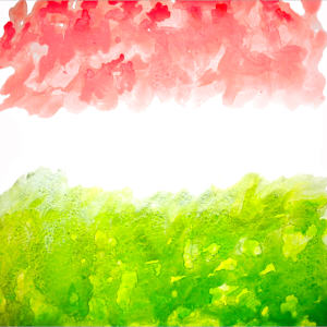 Red Green by Kathleen Greco Studio