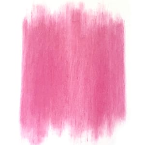 Pink Carnations 02 by Kathleen Greco, Image 1.