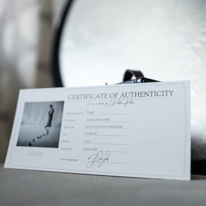 Trail by Dasha Pears  Image: Certificate of authenticity