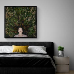 Summer Sun by Dasha Pears  Image: room view
