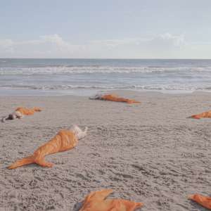 Gold Fish by Dasha Pears, Image 1.