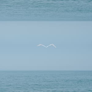 Free by Dasha Pears, Image 1.