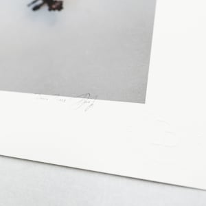 The Four Seasons – Vivaldi by Dasha Pears, Image 8.