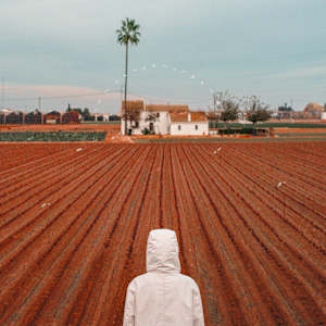 Leading Lines by Dasha Pears, Image 3.