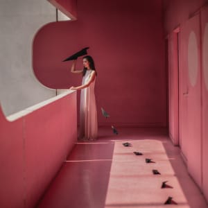 Fly by Dasha Pears, Image 1.