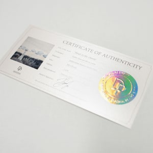 Head In The Clouds by Dasha Pears  Image: Certificate of authenticity