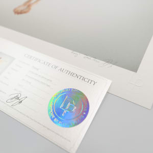 Rising by Dasha Pears  Image: Certificate of authenticity