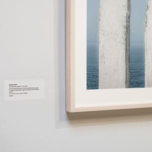 Sending The Signal by Dasha Pears 