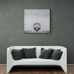 Cloudy by Dasha Pears  Image: room view