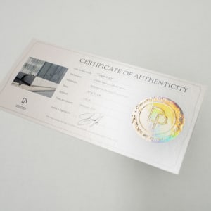 Trajectory by Dasha Pears  Image: Certificate of authenticity