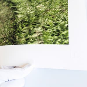 Guide You by Dasha Pears  Image: Signature on the front + the authenticity stamp