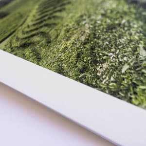 Guide You by Dasha Pears  Image: Printed artwork close-up (paper texture)