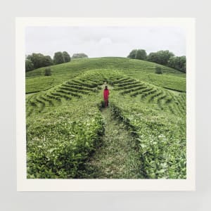 Guide You by Dasha Pears  Image: Printed artwork - full view