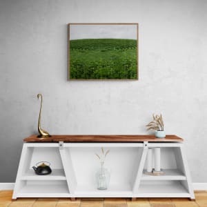 In the Arena by Dasha Pears, Image 2.