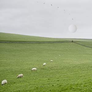 Cycles by Dasha Pears, Image 2.