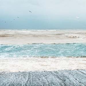 Stripes by Dasha Pears