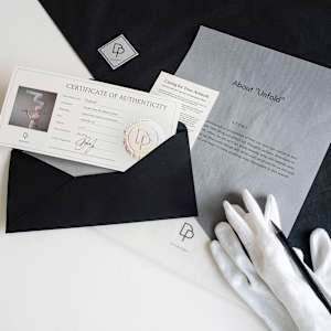 Cosmos by Dasha Pears