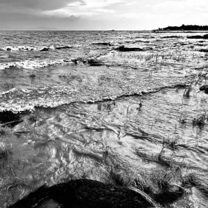 WATER FIELD