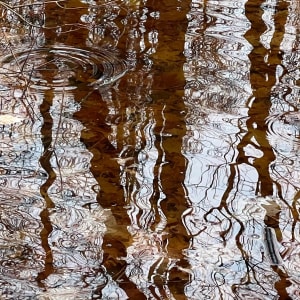 Histoires d'eau I by GAGNE